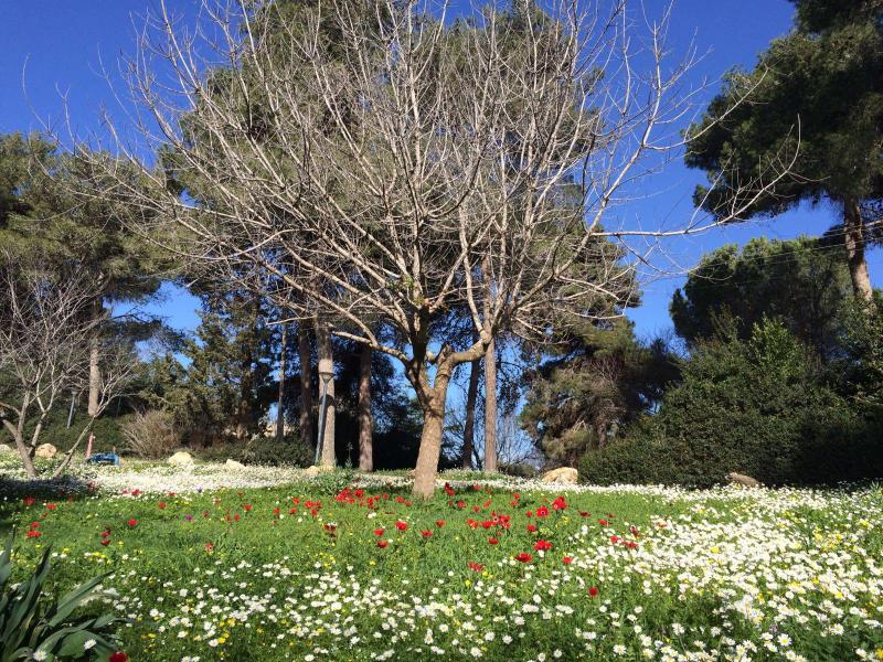 צילום: טניה קרונוס מקיבוץ אדמית.